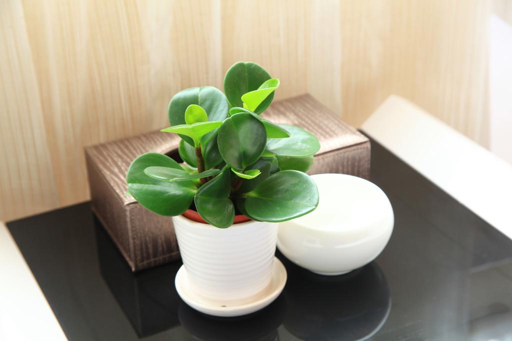 Shang Yuan Hotel Kanton Pokój zdjęcie